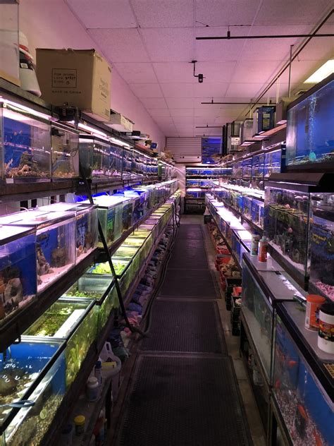 fish pet shop near me|Pete’s Aquariums & Fish.